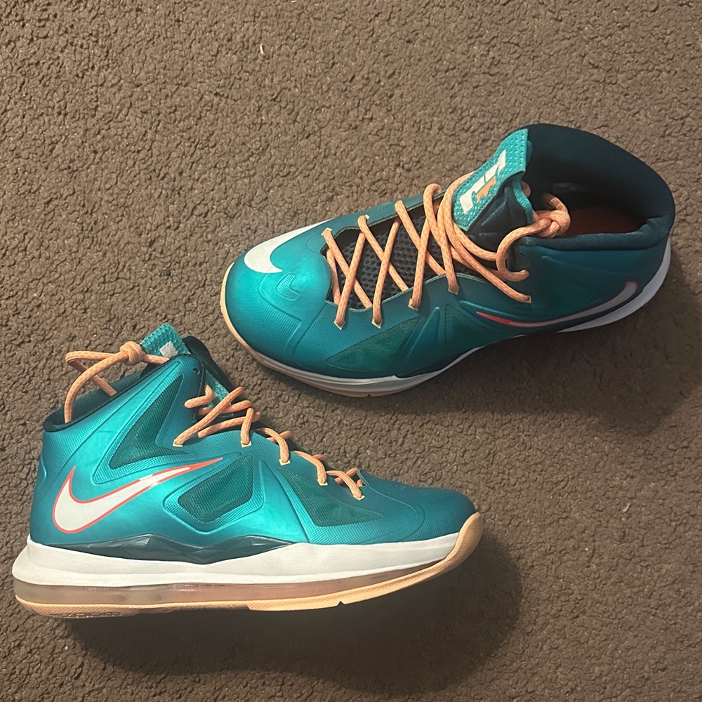 Lebron x Miami dolphin